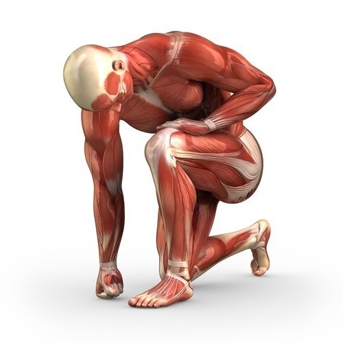 Muscle tremor